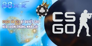 CSGO Là Gì? Bí Quyết Soi Kèo Luôn Thắng Nhà Cái