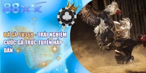 Đá Gà SV368 - Trải Nghiệm Cược Gà Trực Tuyến Hấp Dẫn