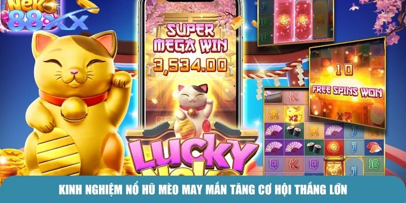 Kinh nghiệm Nổ hũ Mèo may mắn tăng cơ hội thắng lớn