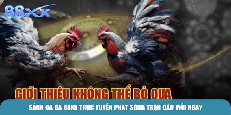 Sảnh Đá Gà 88xx trực tuyến phát sóng trận đấu mỗi ngày